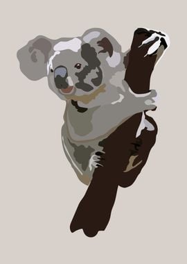 Koala Pity 