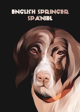 English Springer Spaniel