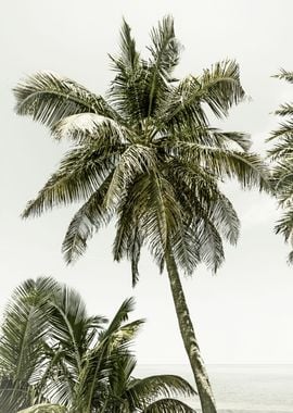 Vintage Ocean Palm Trees