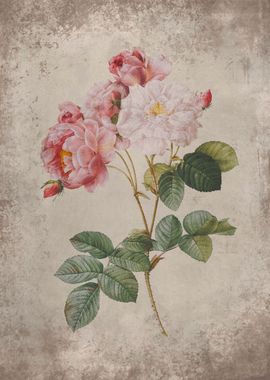 Vintage Rose Blossom