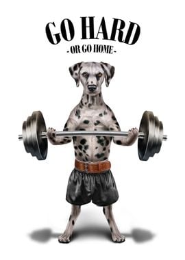 Dalmatian Dog Weightlift