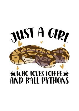 Ball Python Snake Pet Gift