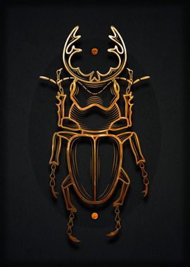 Insect Beetle