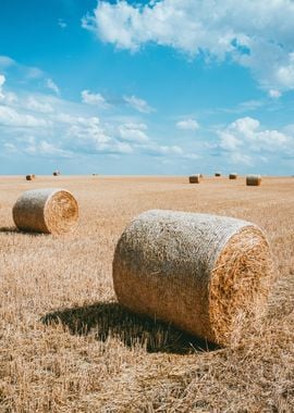 Hay Roll Field Nature