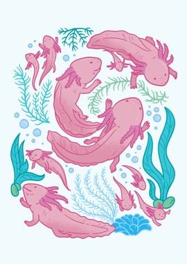 Axolotl animals swimming