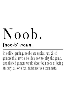 Noob Definition