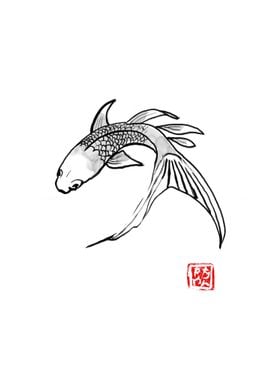 carp koi turning