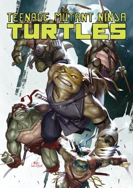 TMNT Combat Cover