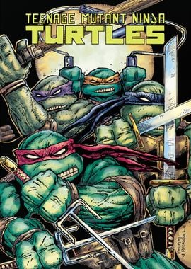 Cover TMNT