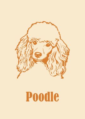 Poodle