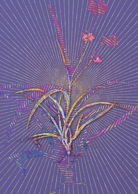 Spiderwort Mosaic Flower