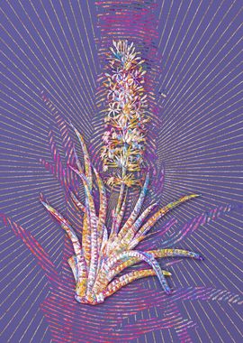 Snake Plant Mosaic Flower