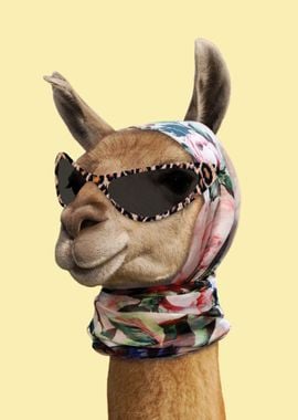 Funny Fashion Alpaca