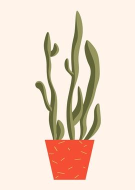 Succulent Cactus Plant