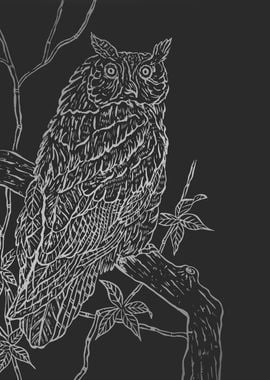 Owl black and white art