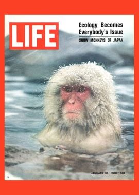 Cover - January 30 1970