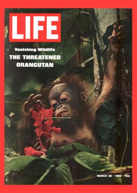 Cover - March 28 1969