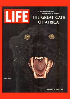 Cover - January 6 1967