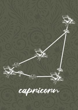 Zodiac Capricorn Sign