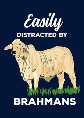 Distracted By Brahman