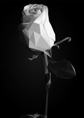 rose flower