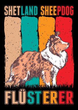 Shetland Sheepdog Flstere