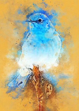 Birds Watercolor