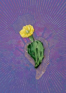 One Spined Opuntia Flower