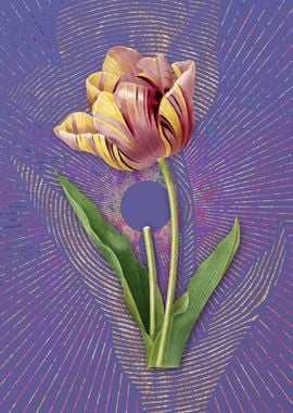 Purple Vintage Tulip Art