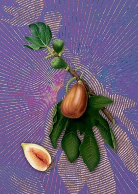 Purple Vintage Fig 3 Art