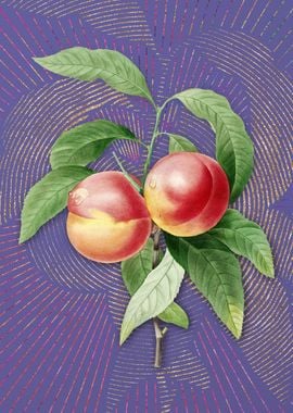 Purple Vintage Peach Art