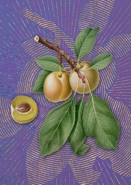 Purple Vintage Prune Art