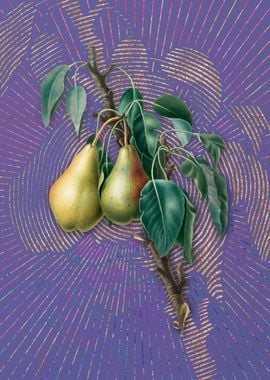 Purple Vintage Lemon Pear