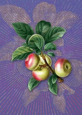 Purple Vintage Apple Art