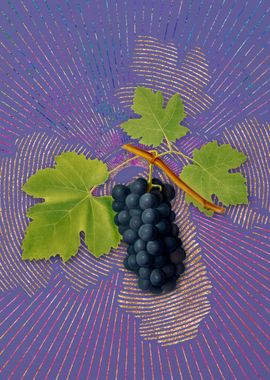 San Columbano Grapes Art