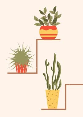 Modern indoor succulents