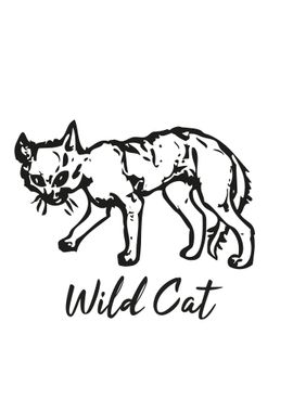 Wild Cat Line ilustration