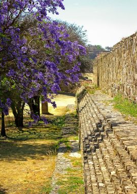 Teotihuacan