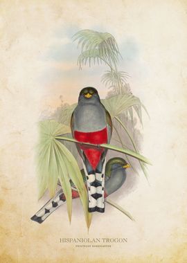 Hispaniolan Trogon