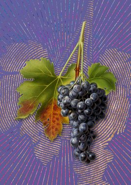 Vintage Raisin Grape Art