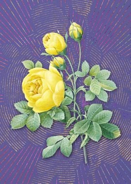 Vintage Yellow Rose Purple