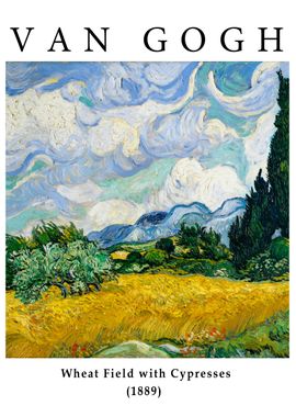 wheat field with cypresses