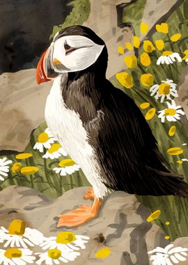 Puffin