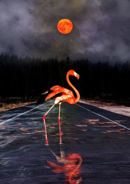 Flamingo and Red Moon