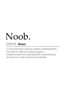 noob word definition