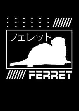 Japanese ferret