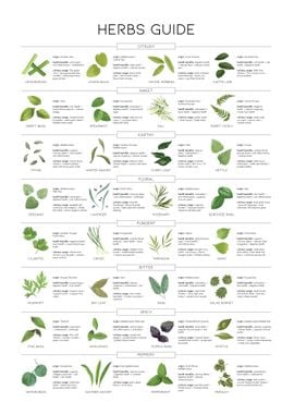 'Herbs guide' Poster, picture, metal print, paint by Designersen | Displate