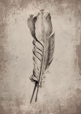 Single Feather