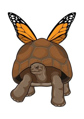 Turtle Butterfly