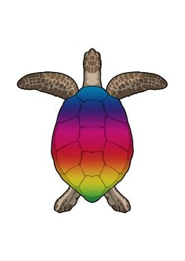 Turtle Colorful